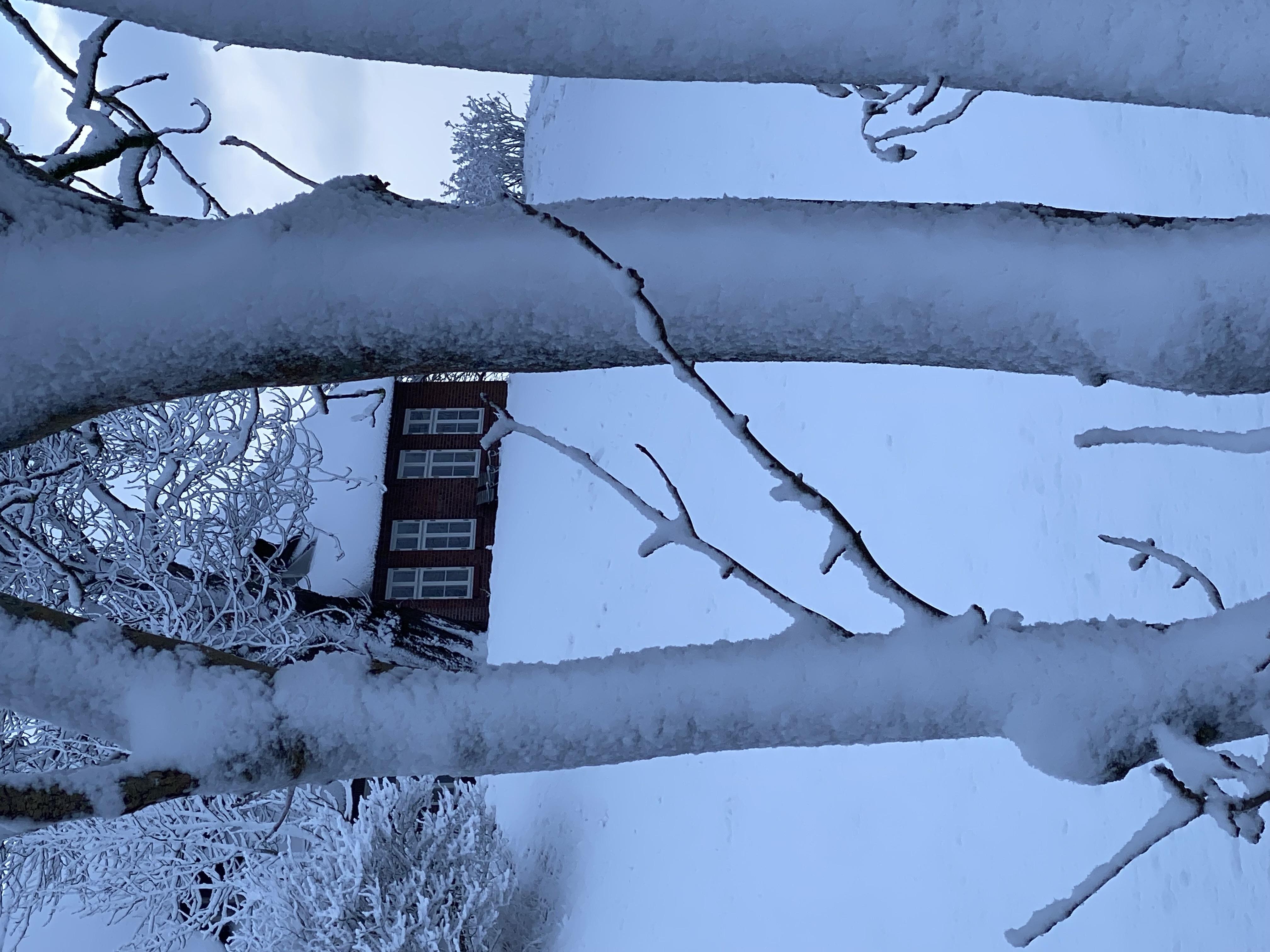 Catharinenwarft Winter